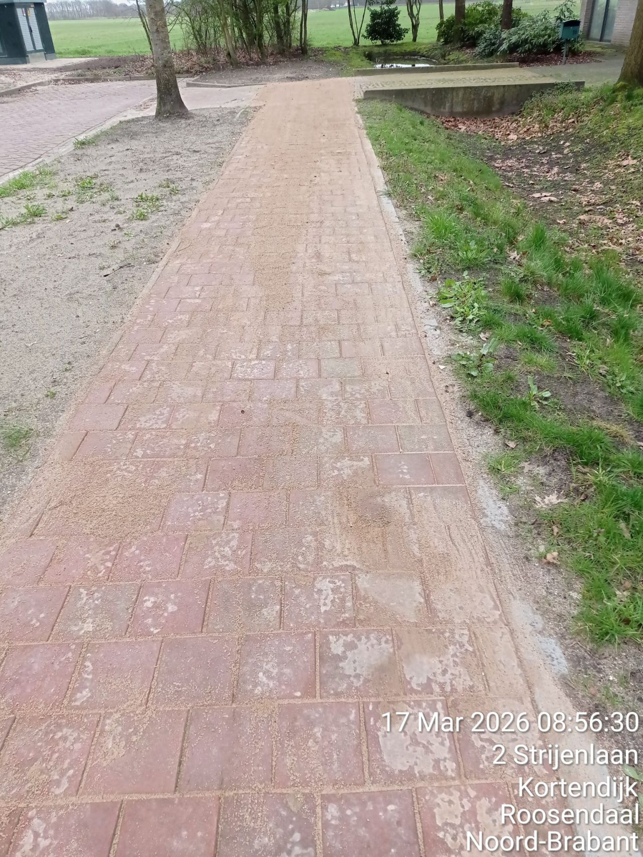 1774869559631